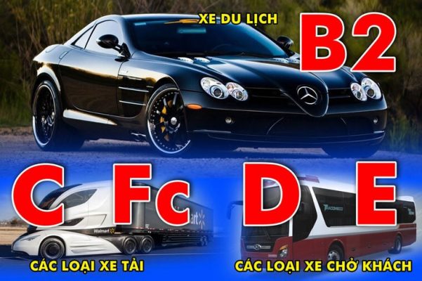 Bằng lái xe ô tô hạng D, E, F chạy được những loại xe gì